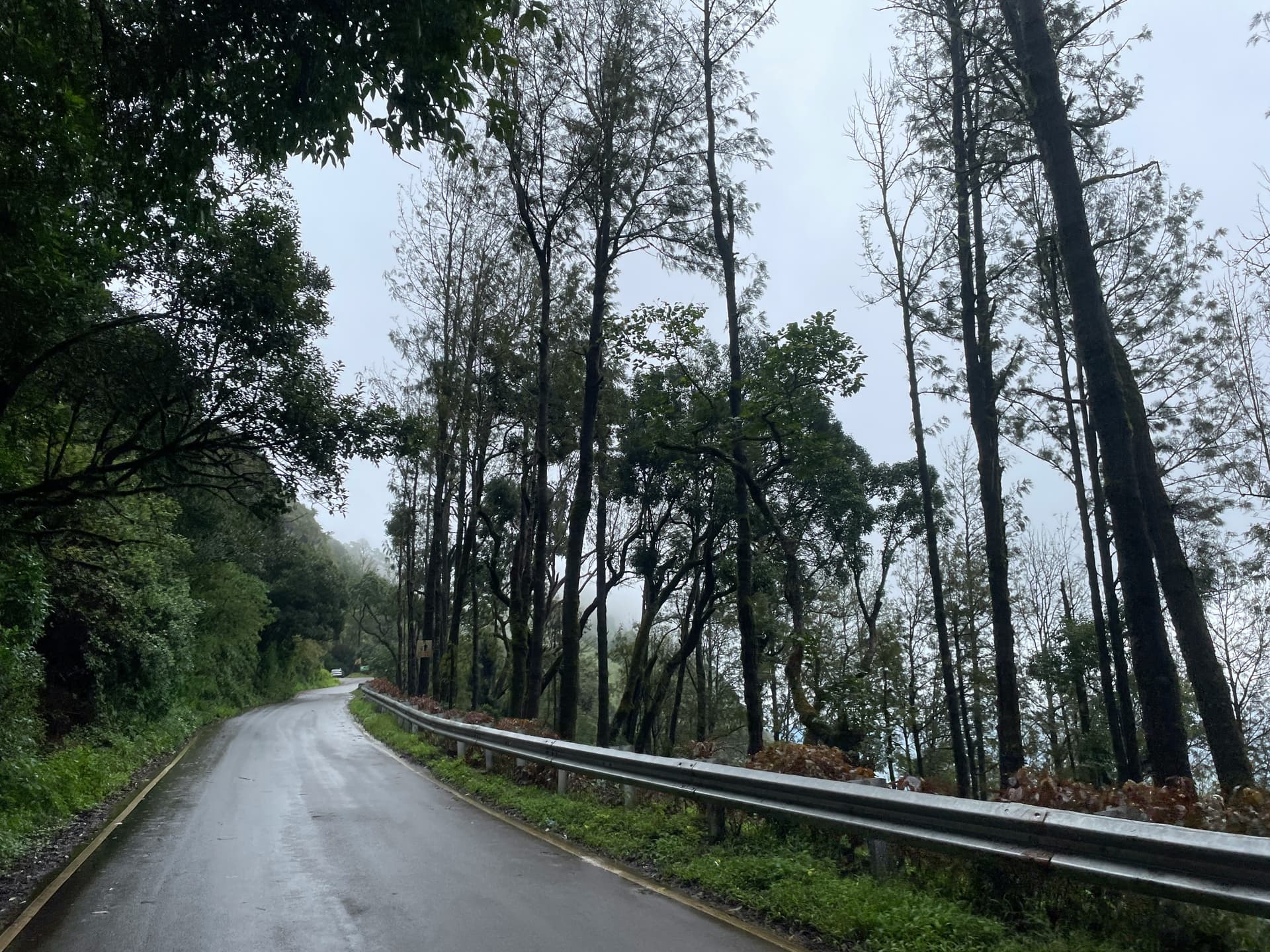 Shimoga – Malnad Region