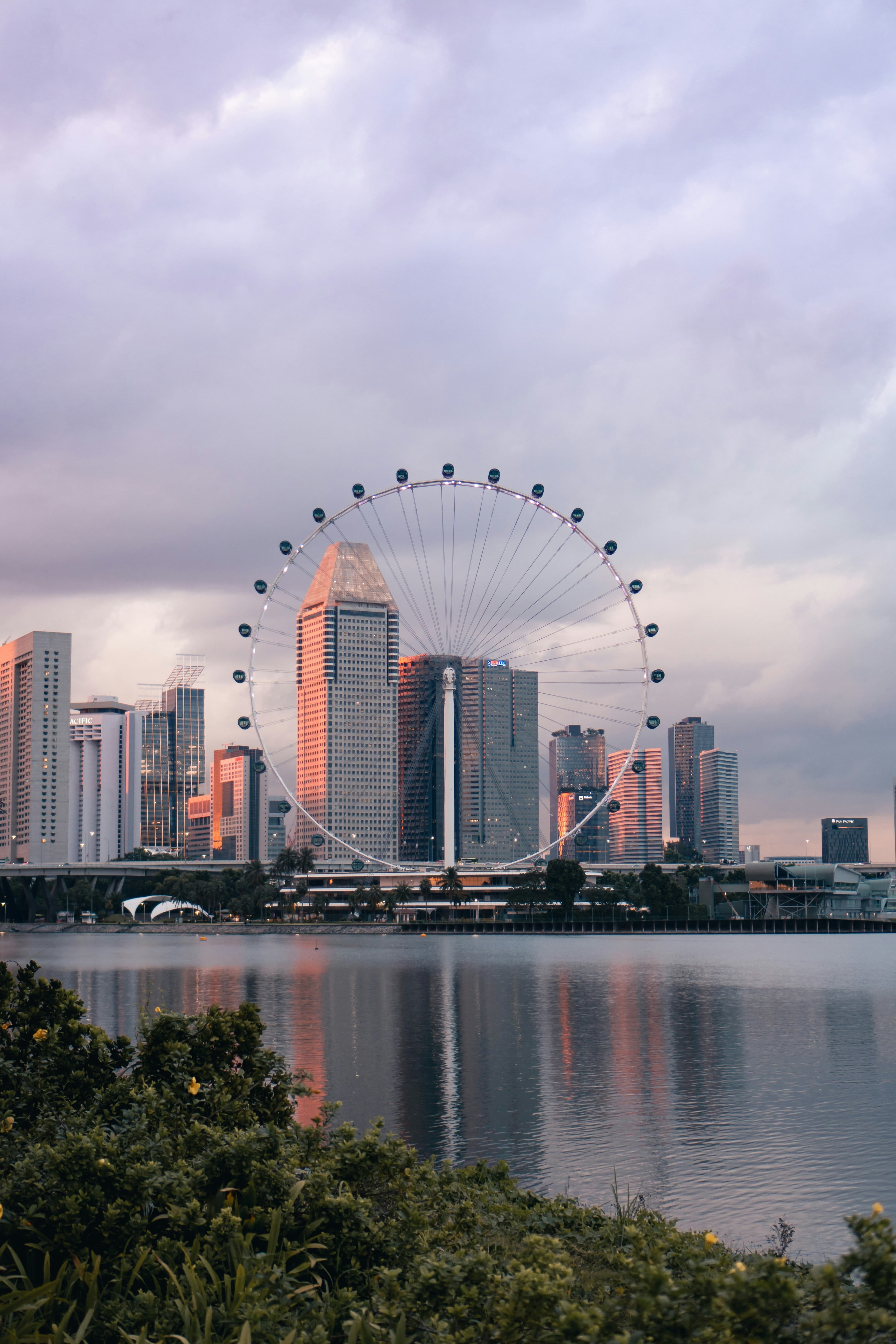 International view 3